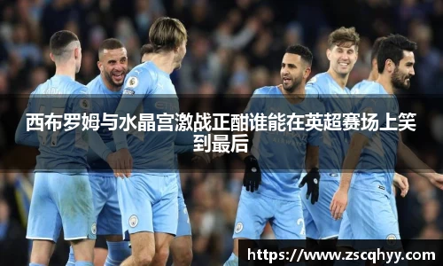 西布罗姆与水晶宫激战正酣谁能在英超赛场上笑到最后